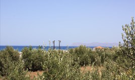 Land 1080 m² in Crete