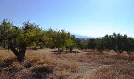 Земельна ділянка 1200 m² на Криті