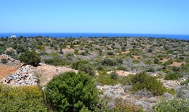 Land 13000 m² auf Kreta
