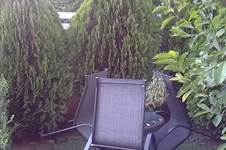 Property 32513 photo 7