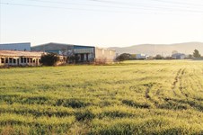 Property 3253 photo 3