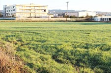 Property 3253 photo 5