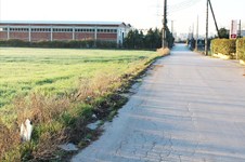 Property 3253 photo 6