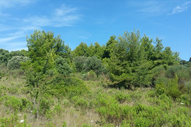 Realty photo 3
