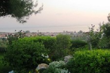 Property 326 photo 4