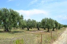 Property 32618 photo 2