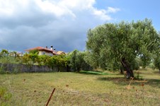 Property 32618 photo 3