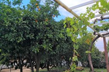Property 32620 photo 9