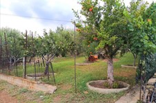 Property 32620 photo 12