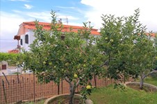 Property 32620 photo 13