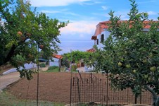 Property 32620 photo 14