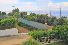 Property 32620 photo 42