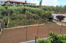 Property 32620 photo 43