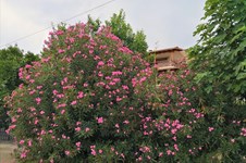 Property 32620 photo 48
