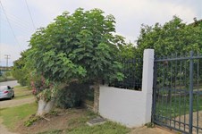 Property 32620 photo 50