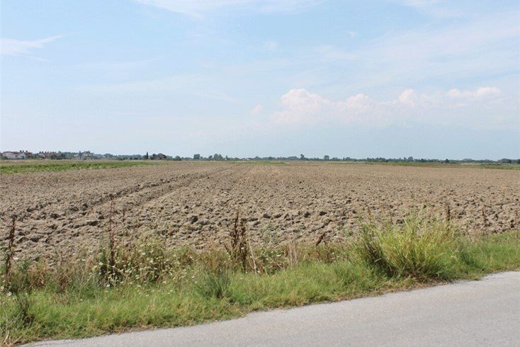 Realty photo 1