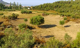 Land 4163 m² auf Sithonia (Chalkidiki)