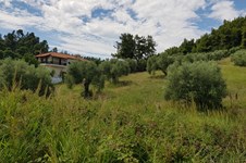 Property 32767 photo 2