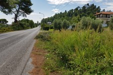 Property 32767 photo 5