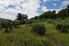 Property 32767 photo 4