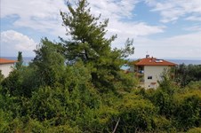 Property 32768 photo 2
