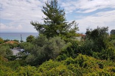 Property 32768 photo 1
