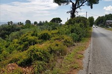 Property 32768 photo 3