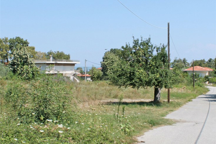 Realty photo 1