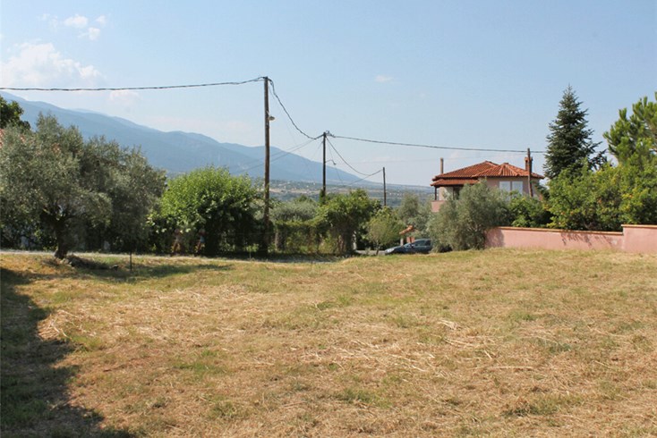 Realty photo 1