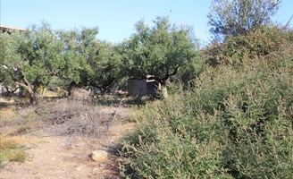 Land 359 m² auf Kreta