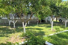 Property 32812 photo 28