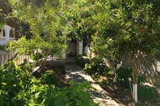 Property 32812 photo 19
