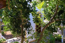 Property 32812 photo 20