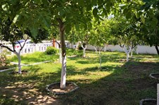 Property 32812 photo 21
