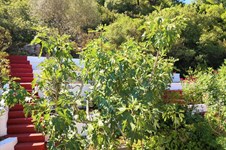 Property 32812 photo 24