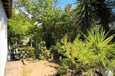 Property 32812 photo 34