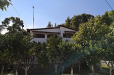Property 32812 photo 36