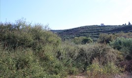 Land 351 m² in Crete