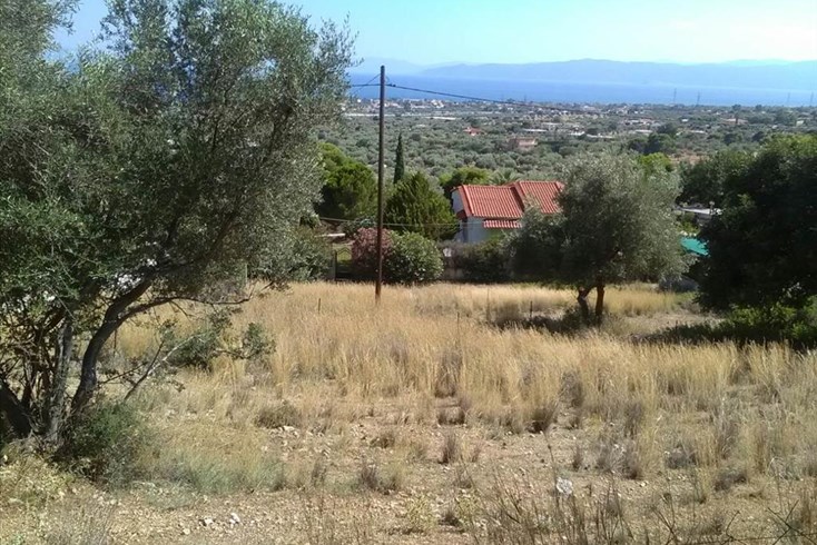 Realty photo 1