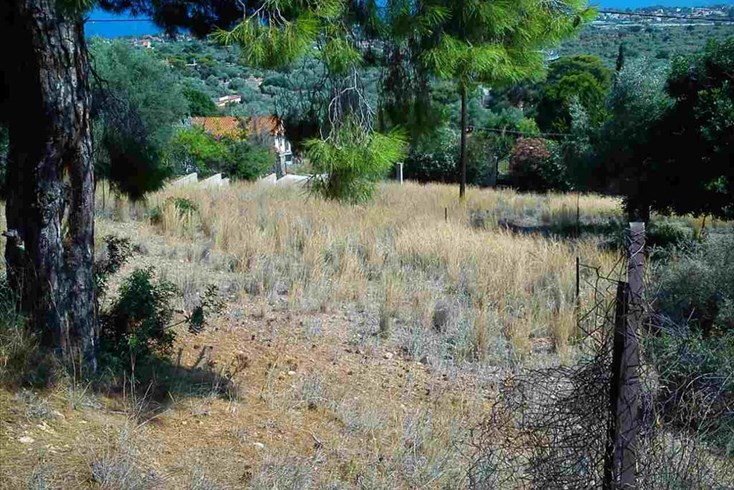Realty photo 2