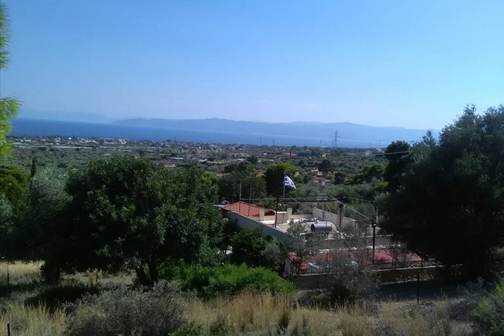Realty photo 3