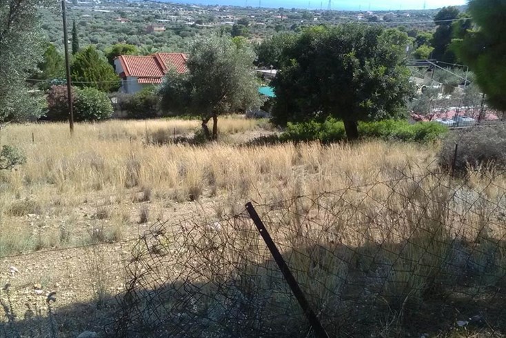 Realty photo 2