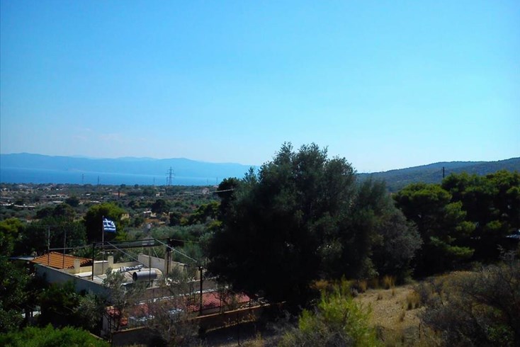 Realty photo 3