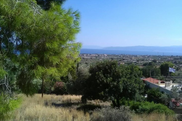 Realty photo 1