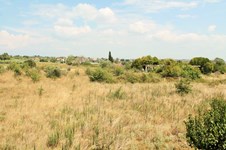 Property 32865 photo 10