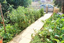 Property 32865 photo 30