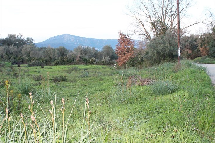 Realty photo 3
