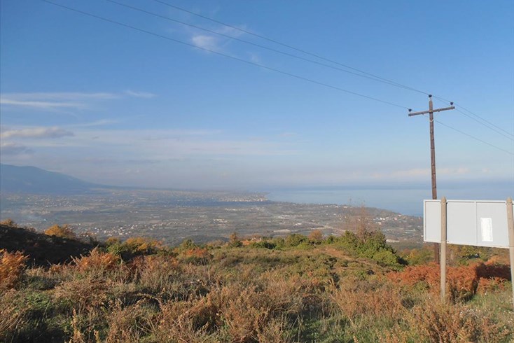 Realty photo 1