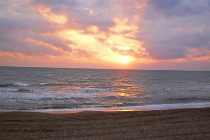 Realty photo 1