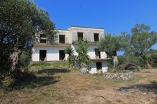 Property 32916 photo 3